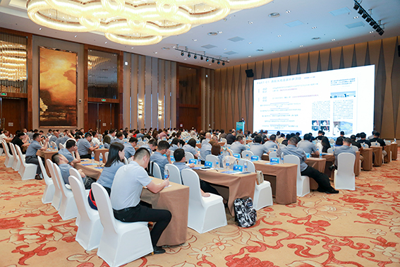 64c8591c0c511.jpg 1.jpg